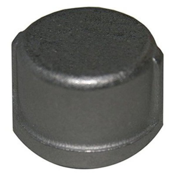 Larsen Supply Co 12 SS Pipe Cap 32-2957